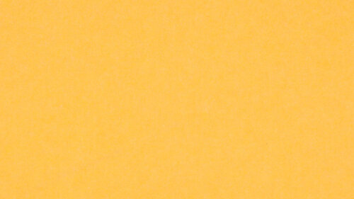PM805 Yellow
