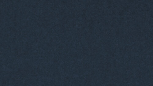 PM819 Dark Blue