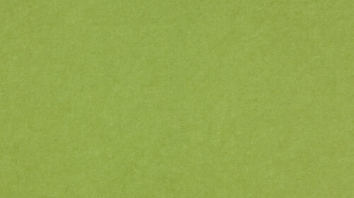 PM843 Spring Green