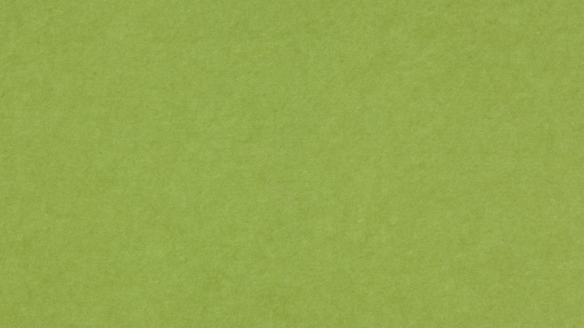 PM843 Spring Green