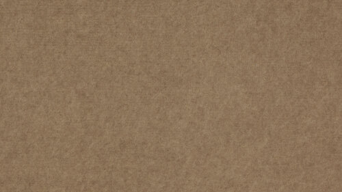 PM844 Sepia