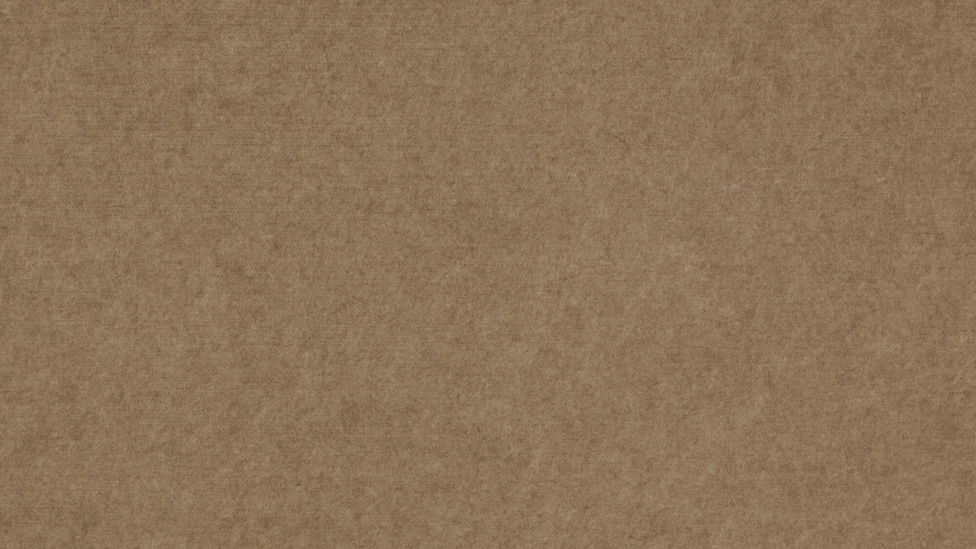 PM844 Sepia