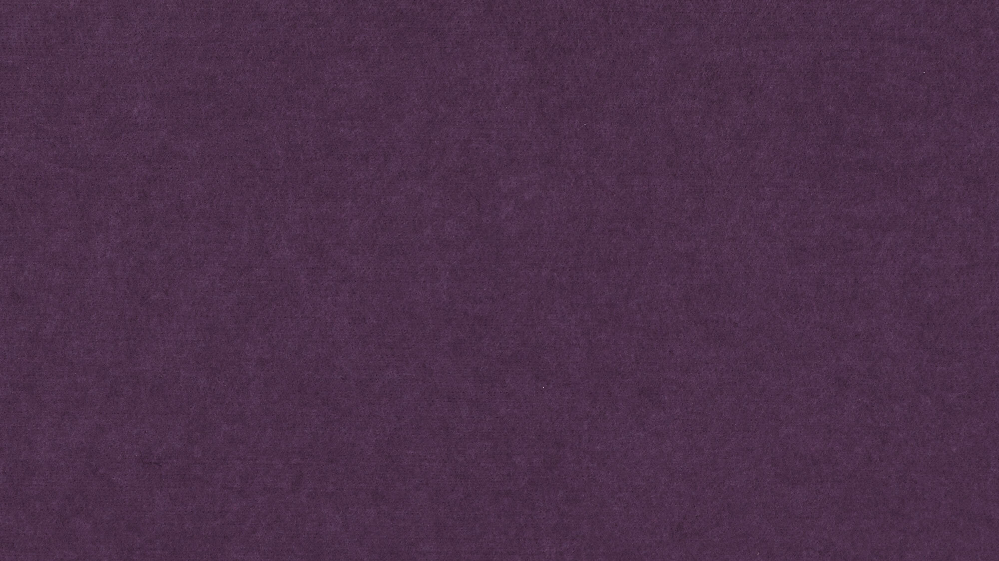 PM850 Purple