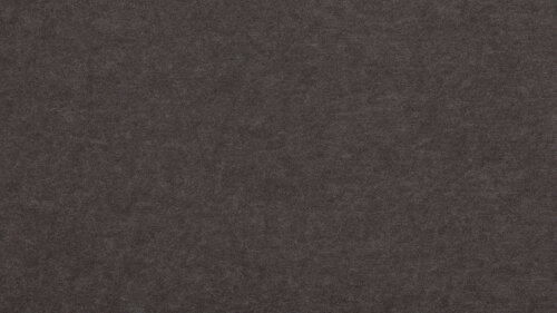 PM914 Carob Ext