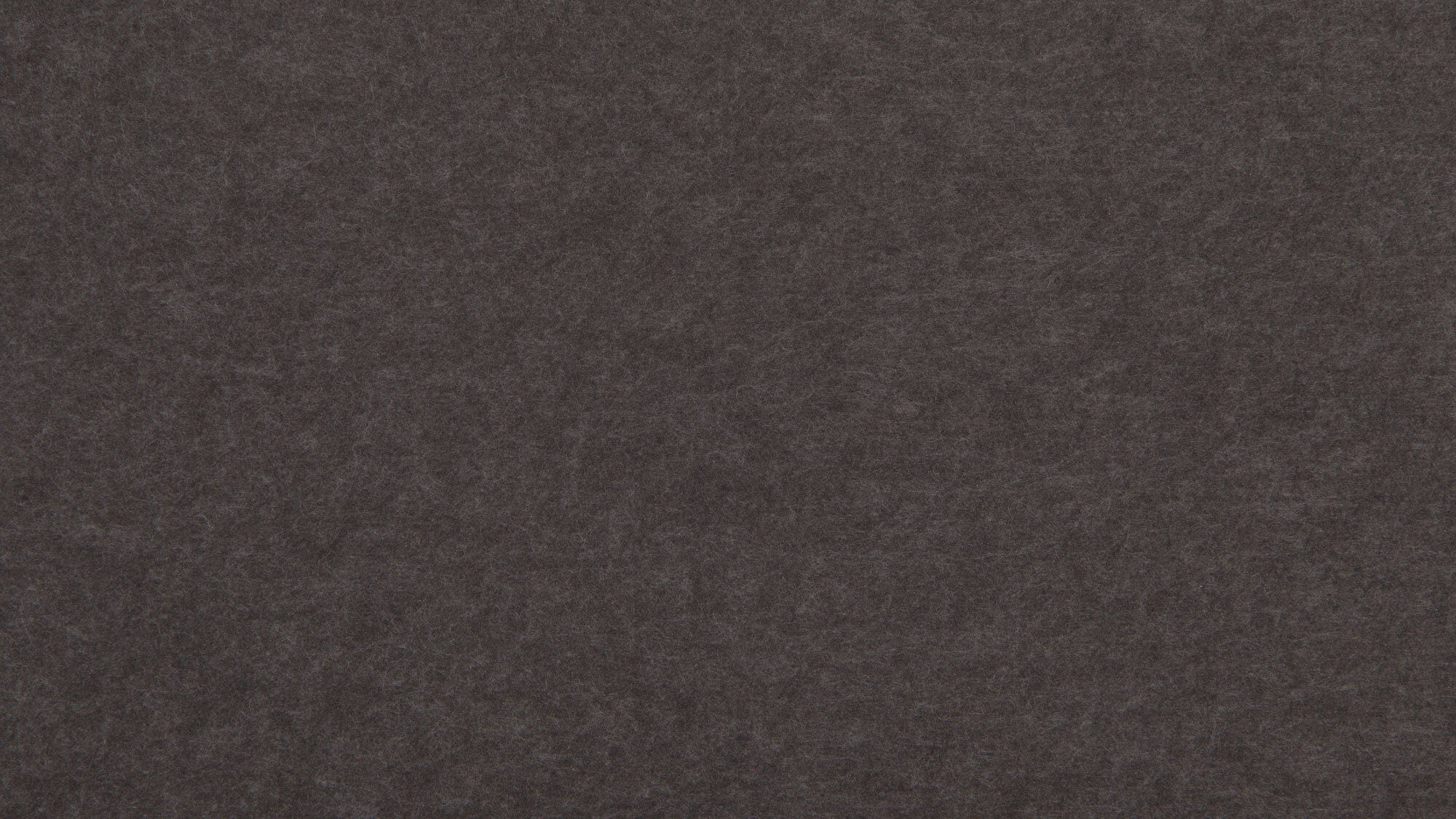 PM914 Carob Ext