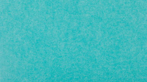 PM919 South Sea Ext