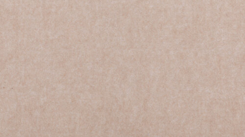 PM922 Camel Ext