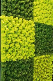 vitAcoustic 3d-frames - hochwertige Akustik Absorber für die Wand