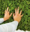vitAcoustic 3d-frames - hochwertige Akustik Absorber für die Wand