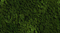 vitAcoustic 3d-frames - hochwertige Akustik Absorber...