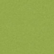PM843 Spring Green Extended